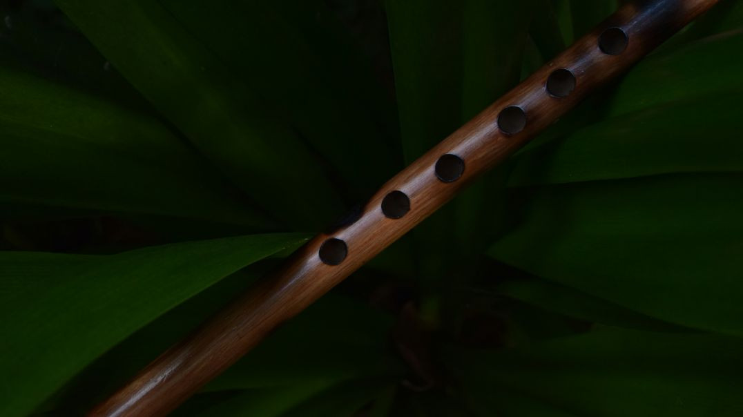 ⁣Solo Asian Flute