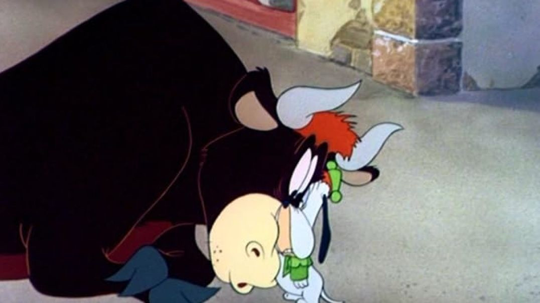 Droopy_Senor Droopy