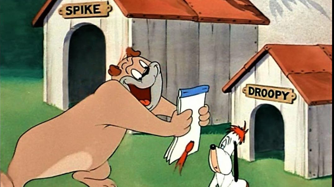 Droopy_Wags to Riches